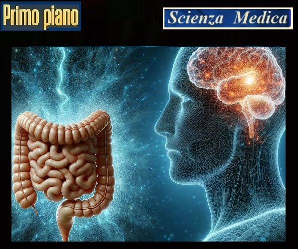 L’INTESTINO CHE PARLA AL CERVELLO - La sorprendente chiave per proteggere la memoria