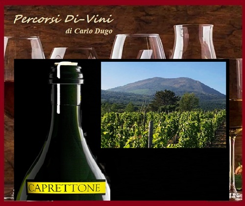 IL VITIGNO CAPRETTONE