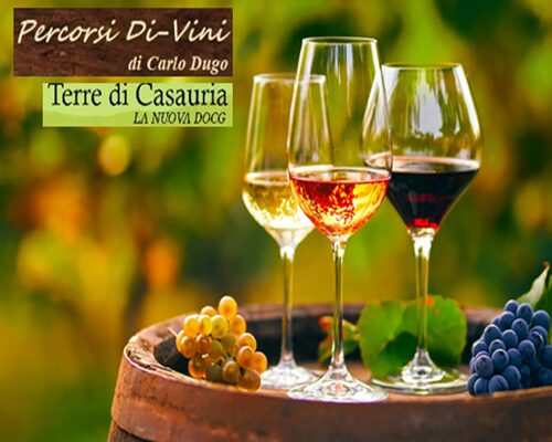 CASAURIA DOCG – La culla del vino d’Abruzzo