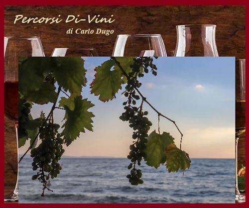 I VINI DELL'ELBA DOC
