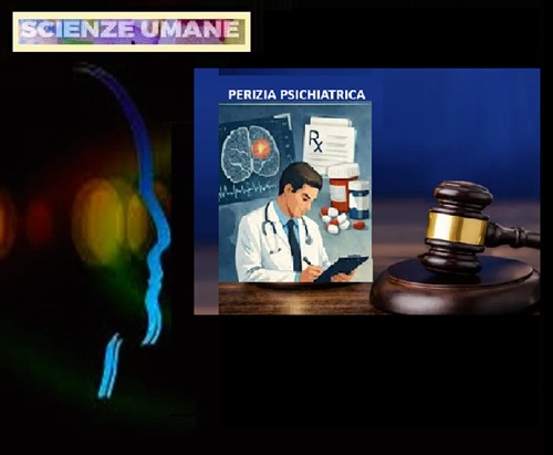 L'INSUFFICIENZA DEL PARADIGMA MONOFASICO NELLA VALUTAZIONE DELL'IMPUTABILITA' - Profili Metodologici e Garanzie Procedurali nella Perizia Psichiatrica