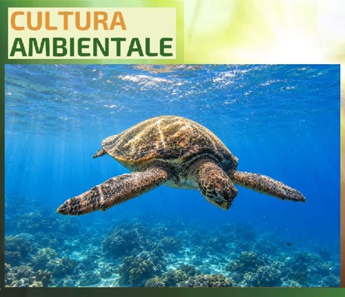 MAR MEDITERRANEO DA PROTEGGERE