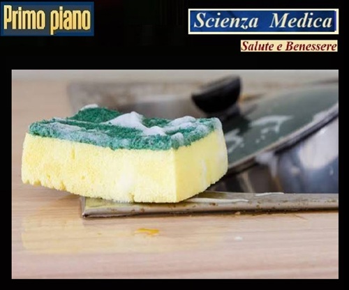 SPUGNE DA CUCINA FONTI DI INFEZIONI - Tutti i Batteri Patogeni Rilevati dalla Ricerca Scientifica