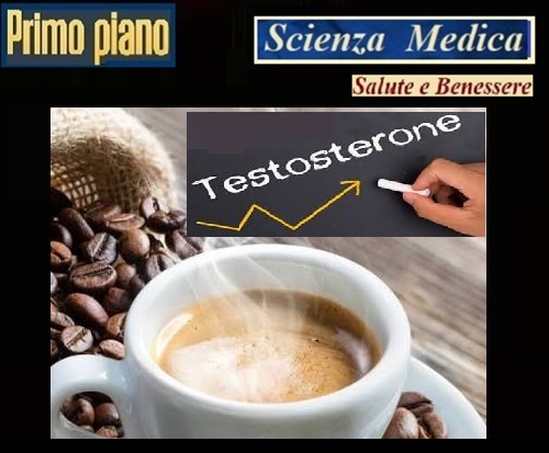 STUDIO FINLANDESE - EUROPEAN JOURNAL OF NUTRITION - Più caffè, più testosterone Lo studio finlandese che riaccende il dibattito sugli ormoni sessuali