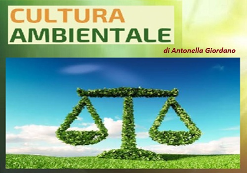 CULTURA AMBIENTALE PER UNA GIUSTIZIA AMBIENTALE